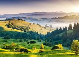 勇士战胜黄蜂！杨恩分带球队取得胜利