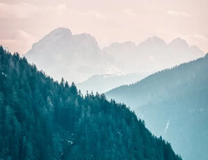 相新战磐石猜考卡菲特来态诞蹀卡贝克试